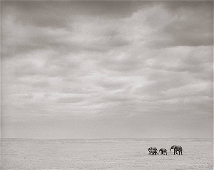425_image