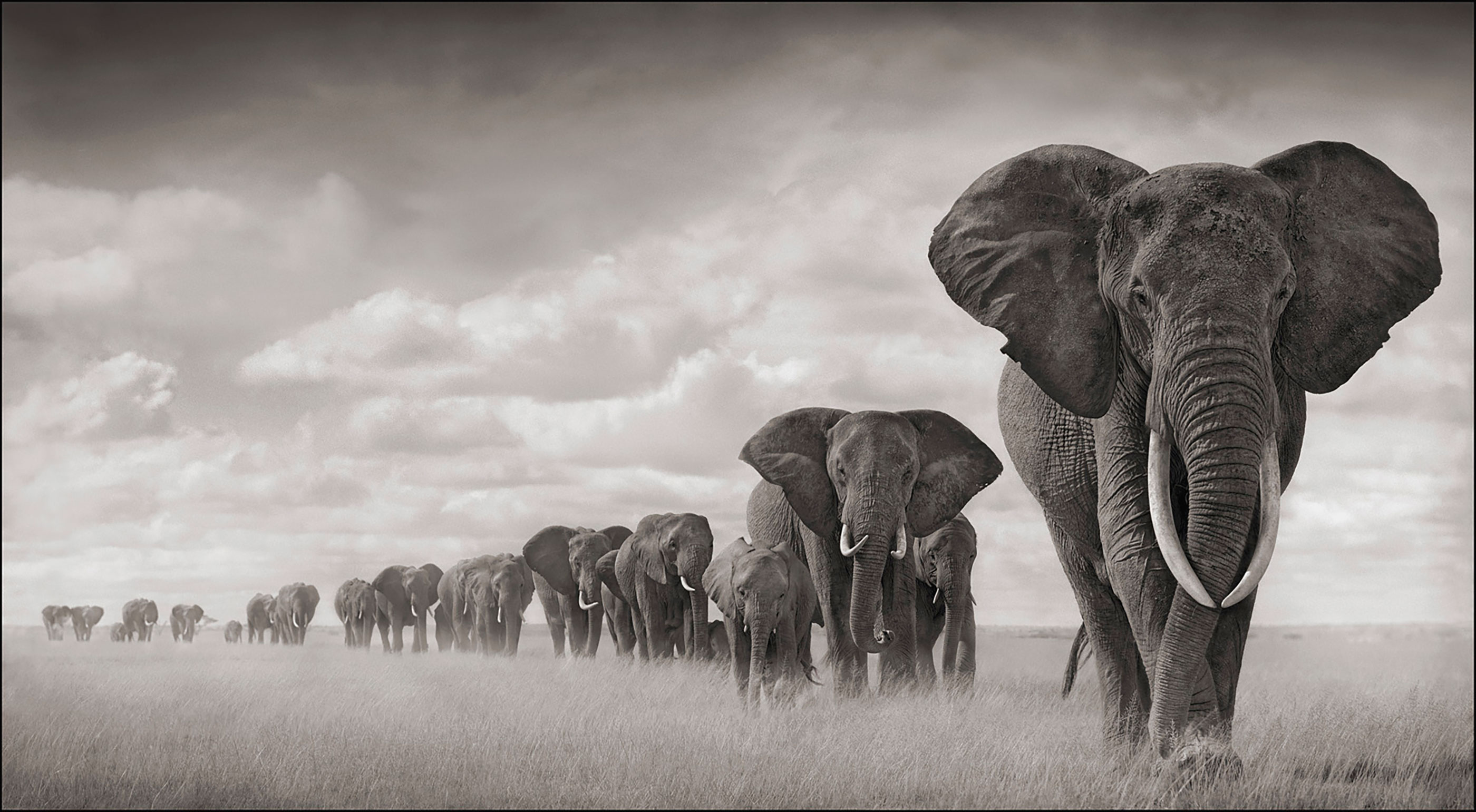 nick_brandt_01